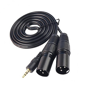 2x3.5mm () 1/8" Stereo Male to Dual XLR Male Adapter Cable