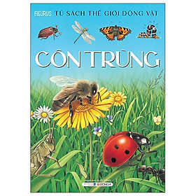 Thế giới động vật - côn trùng