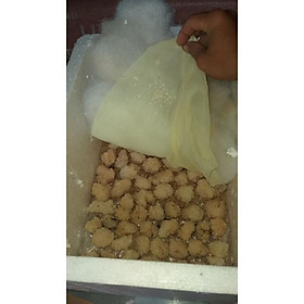 Mua Trứng ốc thái lan 14 ổ