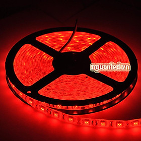 Mua Đèn led dây dán cuộn 5m màu đỏ 5050 loại tốt - 5050 đỏ