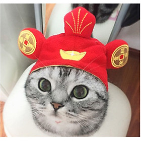 Mũ vải cho chó mèo, Mũ lưởi trai cho Chó Mèo