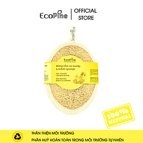 Mua Bông tắm xơ mướp ECOPINE hình Oval size M