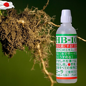Thuốc kích rể HB-101 NHẬT BẢN giúp tăng trưởng cây xanh phục hồi cây suy yếu-Hàng có tem chống giả