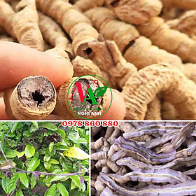 Ba Kích tím sấy khô Đông Y Nghi Anh Gói 100gr tốt cho sức khỏe bổ Thận tráng dương, cường gân cốt tăng sức dẻo dai