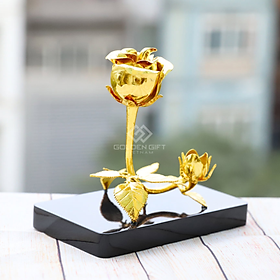 Bộ Sưu tập Hoa hồng mạ vàng