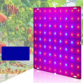 85-265V LED Grow Lights for Bloom Hydroponics Vegetable Flower