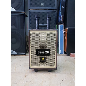 Mua Loa kéo Karaoke Bluetooth Best Sound BD-9080: Bass 20  Có 2 Micro không dây đi kèm