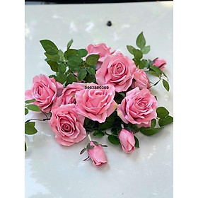 Mua Dây leo hoa Hồng cao cấp  trang trí decor