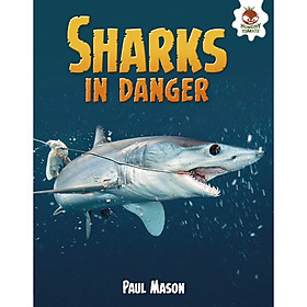 Sharks in Danger