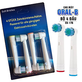 Cho máy Oral B, Bộ 4 đầu bàn chải điện Dan House EB-17B Cho răng sáng trắng