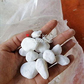 Mua 1kg Sỏi đá trắng trang trí vườn  cây  lối đi