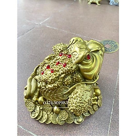 Mua ( Thiềm thừ 3 chân ) cóc ngậm tiền bằng đồng nguyên chất