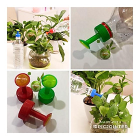 Mua SET 5 Đầu phun nước tưới cây gắn chai nước tiện dụng