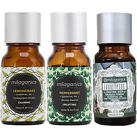 Combo 3 Tinh Dầu Kháng Khuẩn Milaganics: Bạc Hà + Sả Chanh + Khuynh Diệp ( 10ml/Chai)