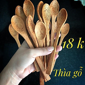 Mua Thìa Gỗ Dừa Tự Nhiên An Toàn Thân Thiện Tốt Cho Sức Khỏe