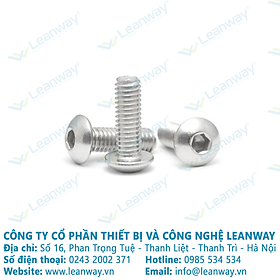 Mua 10 con Bulong đầu cầu inox 201 (Giá đã bao gồm VAT)