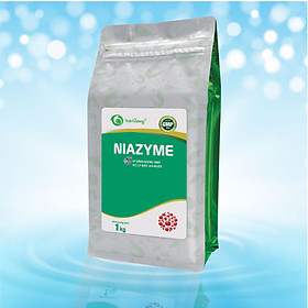 Vi sinh dạng hạt xử lý đáy ao nuôi thủy sản NIAZYME