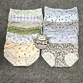Set 10 quần lót nữ su điều hoà trơn/thông hơi cute dễ thương