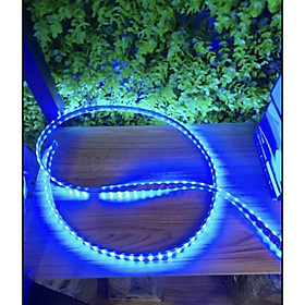 Mua Combo 10m/20m dây LED đôi 2835 siêu sáng tặng kèm nguồn