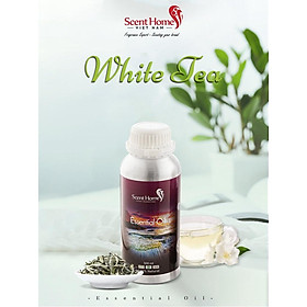 Tinh dầu Scent Homes - mùi hương (White Tea)