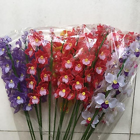 Mua Cành hoa lan 60cm 8 bông