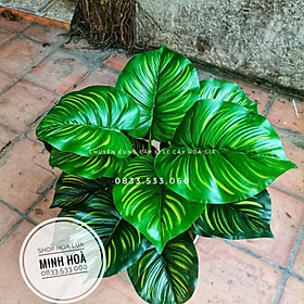 Mua Cây Lá Rùa  Lá Đốm  Lá Môn 70cm  18 lá - Cây giả