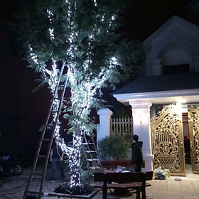 Mua Led đúc F5 ngoài trời dây DC 5V