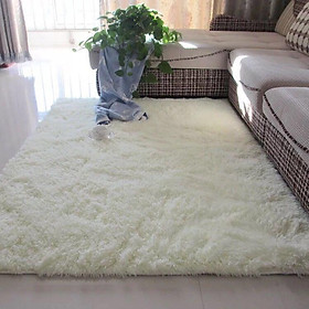 Mua Thảm lông trải sàn 1m6x2m - màu trắng