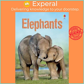 Sách - ELEPHANTS by James Maclaine (US edition, paperback)