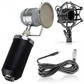 Mic thu âm BM-8000 hát Karaoke chuyên nghiệp trên Máy tính, Điện thoại