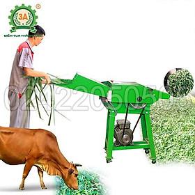 Hình ảnh Máy băm cỏ voi, thân cây ngô 3A2,2Kw - Hàng chính hãng