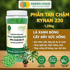 Phân Tan Chậm Greenhome, Rynan 230, Hũ 1,25kg, Chuyên Kiểng Lá, Dưỡng Lá Xanh, Sinh Trưởng Khoẻ