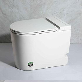Mua Bồn cầu nguyên khối sứ cao cấp Hiwin MT-6040