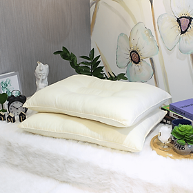 Mua Ruột Gối Giảm Ngáy Edena ( 45cm x 65cm )