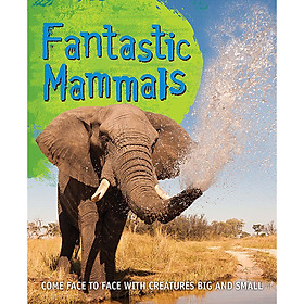 [Download Sách] Fast Facts! Fantastic Mammals