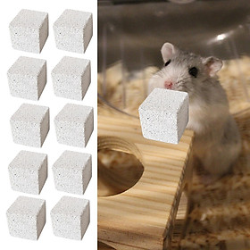 10x Pet Chew Toy Hamster  Grinding Stone Rodent Chewing Toy, Stone Square for Chinchillas, Small Animals, Rat, Guinea Pigs
