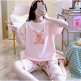 Bộ đồ bầu mùa hè mặc nhà, đồ bộ ngắn sau sinh cho con bú ti mùa hè mặc nhà LINK 1 - đến nơi bán Biểu đồ lịch sử biến động giá bán Bộ đồ bầu mùa hè mặc nhà, đồ bộ ngắn sau sinh cho con bú ti mùa hè mặc nhà LINK 1