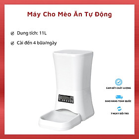 Máy Cho Mèo Ăn Tự Động Dung Tích 11L, Cài Đến 4 Bữa/ngày, Bát Ăn Tự Động Cho Chó Mèo Cao Cấp 