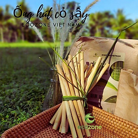 Mua Túi 30 ống hút cỏ sậy khô Ecozone size M dài 20cm xuất khẩu có thể tái sử dụng dùng uống cafe sinh tố smothies