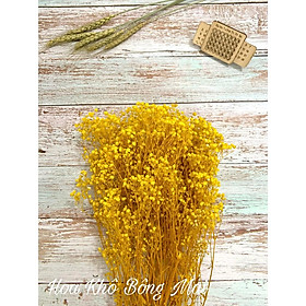 Loại đẹp Hoa khô HOA BABY BLOOM decor chụp ảnh, trang trí nhà cửa, phòng ngủ phòng cách vintage