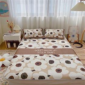 Mua Chiếu Điều Hoà Tencel Latex 5D Từ Mủ Cao Su Non Hàng Nhập Khẩu Cao Cấp