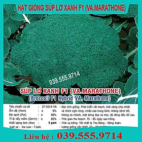 Hạt Giống Súp Lơ Xanh F1 (VA.Marathone) Gói 1gram