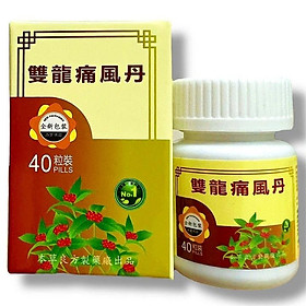 Viên uống đau nhức xương khớp Song long Thống phong đan - Loại xịn - Hộp 40 viên - Xuất xứ Malaysia - Mã số 1526