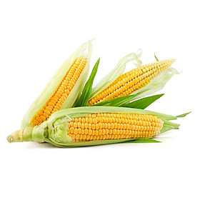 Bắp ngọt hữu cơ - 500g