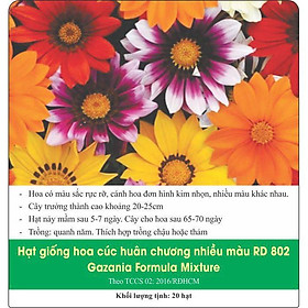 Mua Hạt Giống Hoa Cúc Huân Chương Nhiều Màu Mix