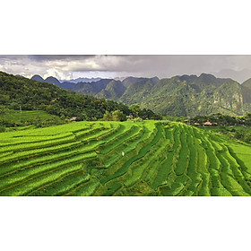 TOUR HÀ NỘI - PÙ LUÔNG – MAI CHÂU – HÀ NỘI: SẮC LÚA VÀNG VÙNG CAO THANH HÓA