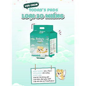 TODAY'S PADS  - Miếng lót vệ sinh cho chó, loại 20/50/100 miếng