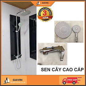 Sen cây sen tắm đứng nước khỏe cao cấp đồng mạ crom