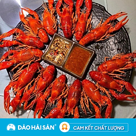 Chỉ giao HCM Crawfish Chín Tôm Hùm Đất Túi 2.27Kg