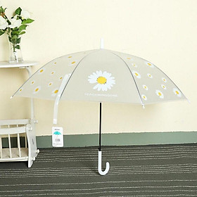 Mua Ô Hoa Cúc Trong Suốt Chống Nước  SIêu Dày